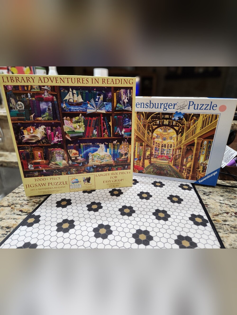 Multicolor Library Adventures 1000-Piece Jigsaw Puzzle Sets